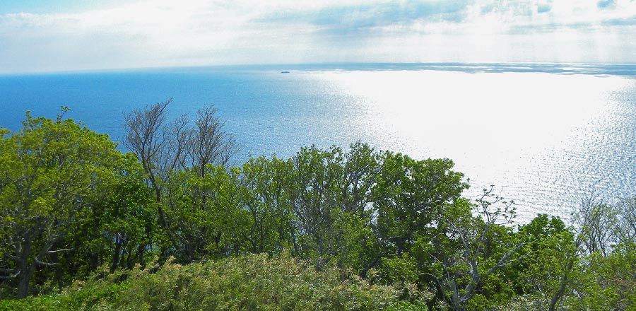 コンテンツの閲覧にはFlashのプラグインが必要です。最新のプラグインをダウンロードしてご覧ください。