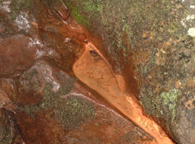 ドラゴンウォーター